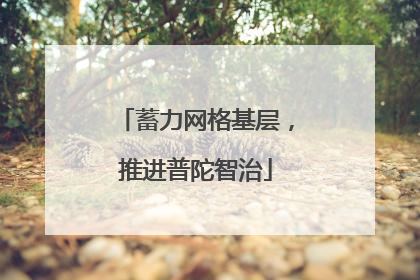 蓄力网格基层，推进普陀智治