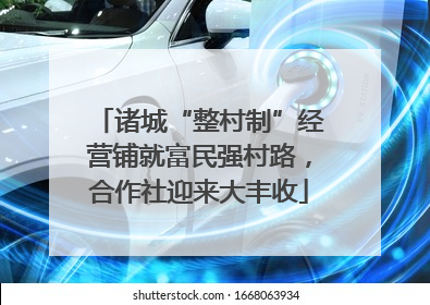 诸城“整村制”经营铺就富民强村路，合作社迎来大丰收