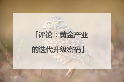 评论：黄金产业的迭代升级密码