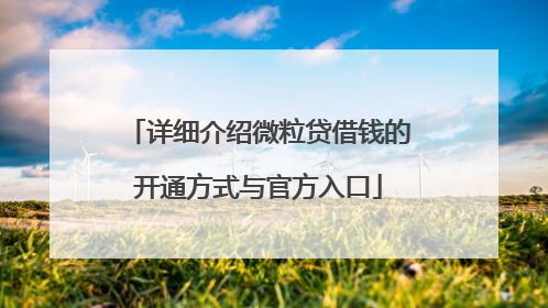 详细介绍微粒贷借钱的开通方式与官方入口
