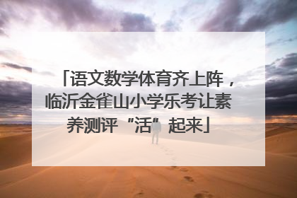 语文数学体育齐上阵，临沂金雀山小学乐考让素养测评“活”起来