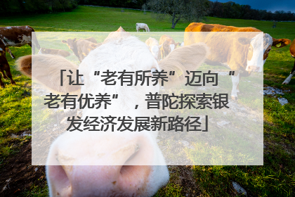 让“老有所养”迈向“老有优养”，普陀探索银发经济发展新路径
