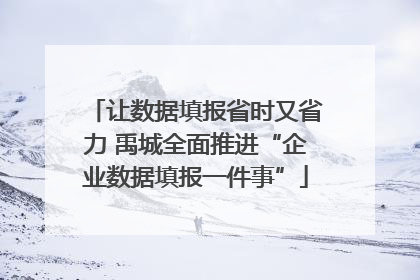 让数据填报省时又省力 禹城全面推进“企业数据填报一件事”