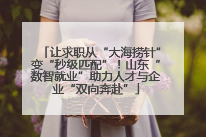 让求职从“大海捞针”变“秒级匹配”！山东“数智就业”助力人才与企业“双向奔赴”