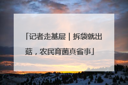 记者走基层｜拆袋就出菇，农民育菌真省事
