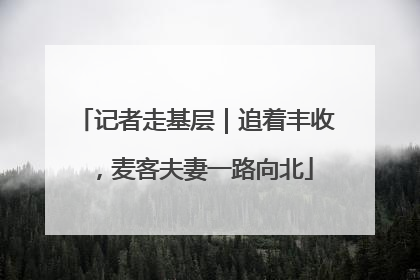 记者走基层｜追着丰收，麦客夫妻一路向北