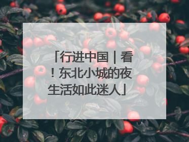 行进中国｜看！东北小城的夜生活如此迷人