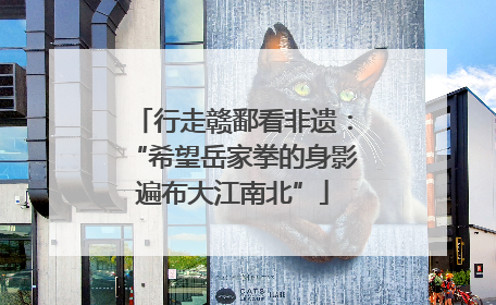 行走赣鄱看非遗：“希望岳家拳的身影遍布大江南北”