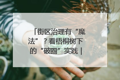 街区治理有“魔法”？看梧桐树下的“破圈”实践｜我在街区当书记