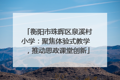 衡阳市珠晖区泉溪村小学：聚焦体验式教学，推动思政课堂创新