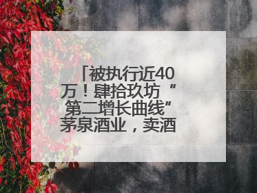 被执行近40万！肆拾玖坊“第二增长曲线”茅泉酒业，卖酒还是卖模式？