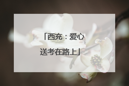 西充：爱心送考在路上