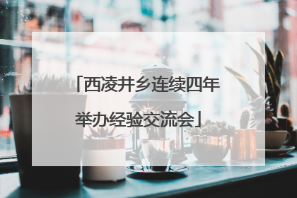 西凌井乡连续四年举办经验交流会