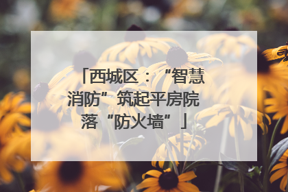 西城区：“智慧消防”筑起平房院落“防火墙”