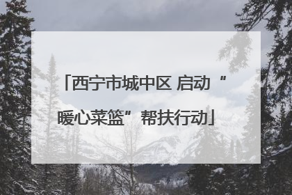 西宁市城中区 启动“暖心菜篮”帮扶行动