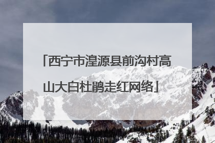 西宁市湟源县前沟村高山大白杜鹃走红网络