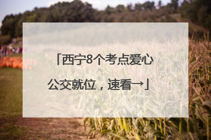 西宁8个考点爱心公交就位，速看→