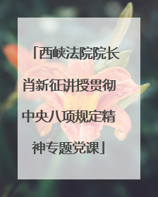 西峡法院院长肖新征讲授贯彻中央八项规定精神专题党课