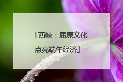 西峡：屈原文化点亮端午经济