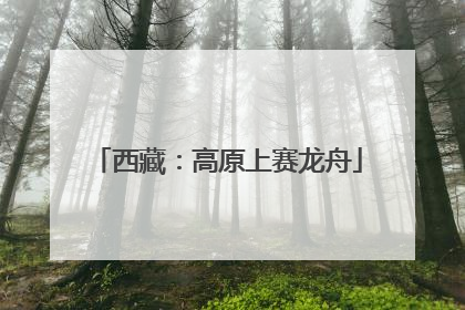西藏：高原上赛龙舟