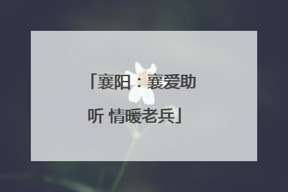 襄阳：襄爱助听 情暖老兵