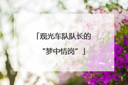 观光车队队长的“梦中情岗”