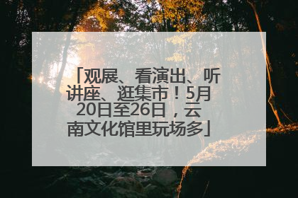 观展、看演出、听讲座、逛集市！5月20日至26日，云南文化馆里玩场多