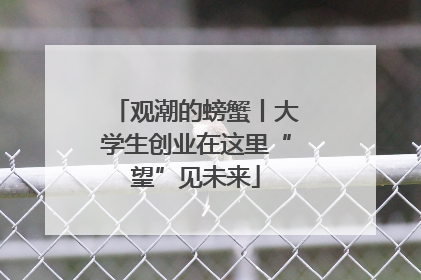 观潮的螃蟹丨大学生创业在这里“望”见未来