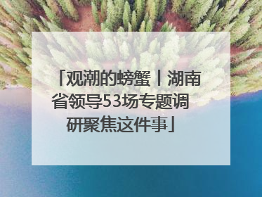 观潮的螃蟹丨湖南省领导53场专题调研聚焦这件事