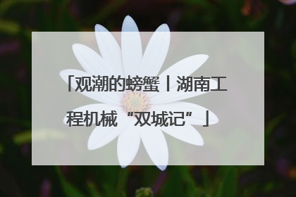 观潮的螃蟹丨湖南工程机械“双城记”
