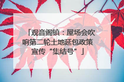 观音阁镇：屋场会吹响第二轮土地延包政策宣传“集结号”
