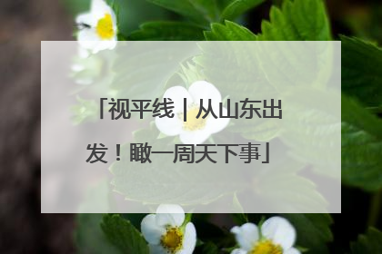 视平线｜从山东出发！瞰一周天下事