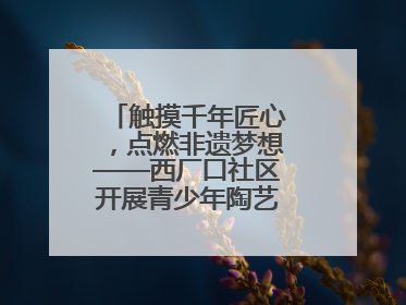 触摸千年匠心，点燃非遗梦想——西厂口社区开展青少年陶艺科技研学活动