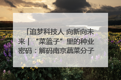 追梦科技人 向新向未来｜“菜篮子”里的种业密码：解码南京蔬菜分子育种的创新之路