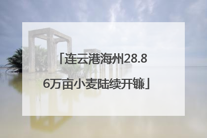 连云港海州28.86万亩小麦陆续开镰