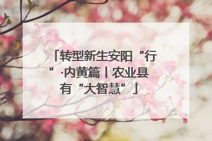 转型新生安阳“行”·内黄篇丨农业县有“大智慧”