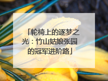 轮椅上的逐梦之光：竹山姑娘张园的冠军进阶路