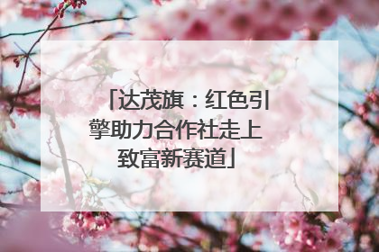 达茂旗：红色引擎助力合作社走上致富新赛道