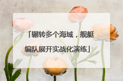 辗转多个海域，舰艇编队展开实战化演练