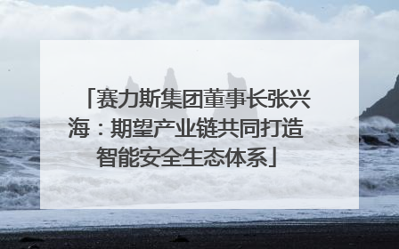 赛力斯集团董事长张兴海：期望产业链共同打造智能安全生态体系