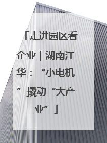 走进园区看企业｜湖南江华：“小电机”撬动“大产业”
