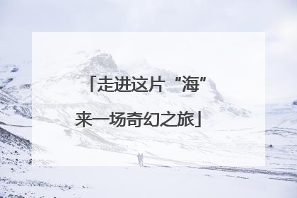 走进这片“海”来一场奇幻之旅