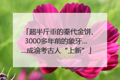 超半斤重的秦代金饼、3000多年前的象牙……成渝考古人“上新”