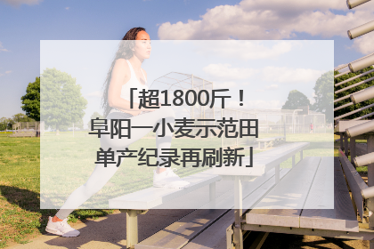 超1800斤！阜阳一小麦示范田单产纪录再刷新