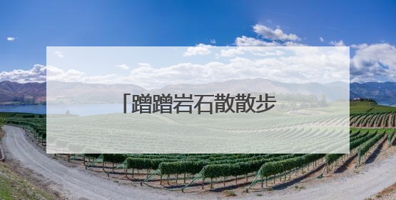 蹭蹭岩石散散步 祁连山拍到雪豹和豺撒欢画面