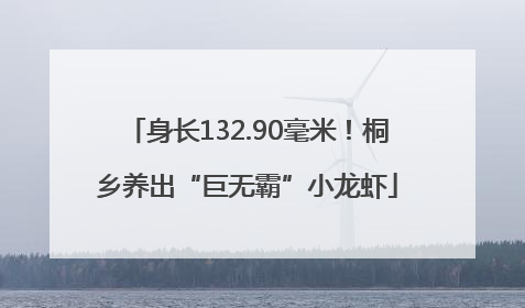 身长132.90毫米！桐乡养出“巨无霸”小龙虾