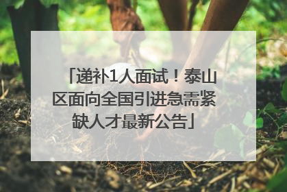 递补1人面试！泰山区面向全国引进急需紧缺人才最新公告