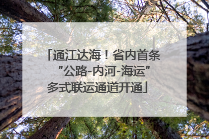 通江达海！省内首条“公路-内河-海运”多式联运通道开通