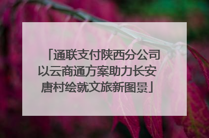 通联支付陕西分公司以云商通方案助力长安唐村绘就文旅新图景