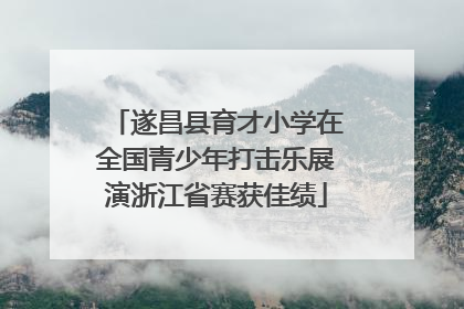 遂昌县育才小学在全国青少年打击乐展演浙江省赛获佳绩